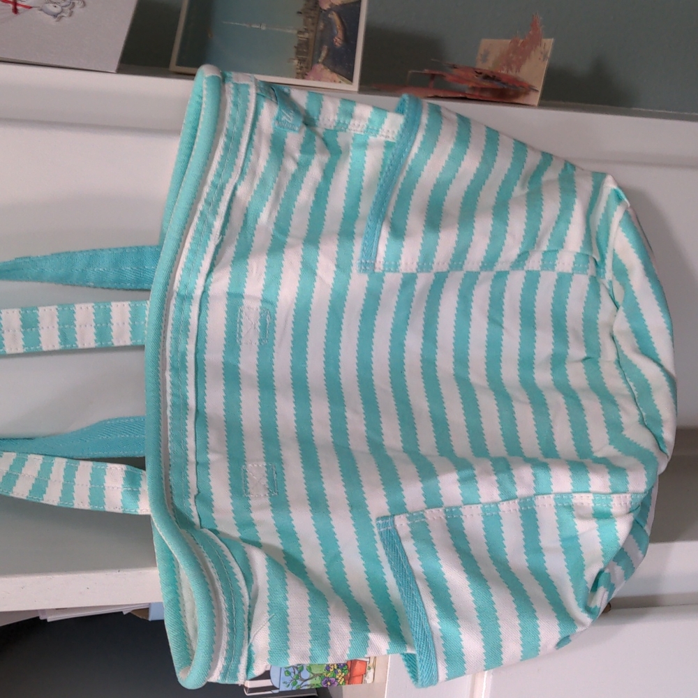 Thirty one retro metro bag. Aqua stripe.